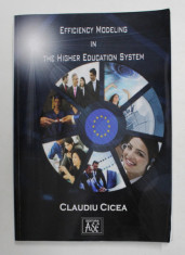EFFICIENCY MODELING IN THE HIGHER EDUCATION SYSTEM by CLAUDIU CICEA , 2007 foto