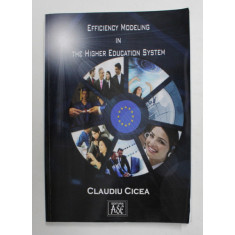 EFFICIENCY MODELING IN THE HIGHER EDUCATION SYSTEM by CLAUDIU CICEA , 2007