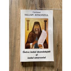 Siluan Athonitul - Intre iadul deznadejdii si iadul smereniei