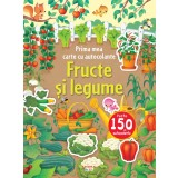 Prima mea carte cu autocolante. Fructe și legume