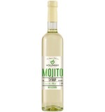 Sirop Mojito Lime si Menta Fara Alcool 1:9 Bio 500 miligrame Hollinger