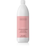 FarmaVita Amethyste Chroma șampon de protecție și hidratare pentru păr vopsit 1000 ml