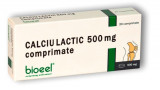 Calciu lactic 500mg 20cpr
