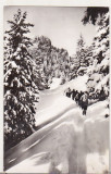 Bnk cp Postavarul - Peisaj de iarna - circulata, Printata