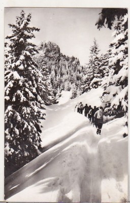 bnk cp Postavarul - Peisaj de iarna - circulata foto