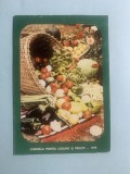 Calendar 1979 legume fructe