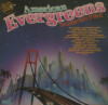 Vinil Various – American Evergreens - The Golden Years Of Music (VG), Pop