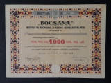 Actiune 1928 banca Bocsana , institut de economii si credit , actie , actiuni