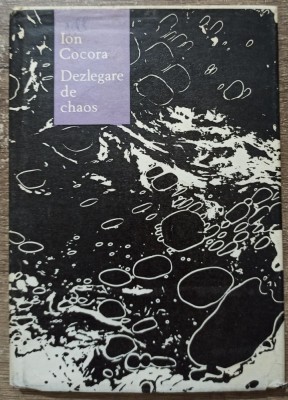 Dezlegare de chaos - Ion Cocora foto