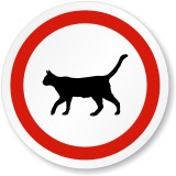Eticheta cu pisica