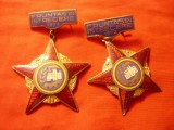 Set 2 Insigne Fruntas in Intrecere : 1971 , 1972 , h=4,5cm , metal si email