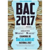 Adrian Nicolae Romonti - Examenul de Bacalaureat National 2017 - Limba si literatura romana - 126325