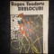 EUGEN TEODORU - BRELOCURI