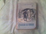 O alegere de pomina-Ioan Dorin, Alta editura