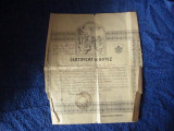Certificat de botez an 1920 x21