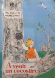 A VENIT UN COCOSTARC. ILUSTRATIILE DE GYORGY MIHAIL-RUSALIN MURESANU-251223