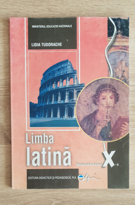 Limba latină. Manual pentru clasa a X-a - Lidia Tudorache foto