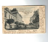 Satu Mare 1905 - Tribunalul, ilustrata circulata
