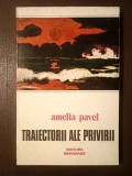 Amelia Pavel - Traiectorii ale privirii