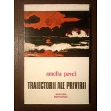 Amelia Pavel - Traiectorii ale privirii