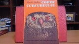 NIKOLAI SLADKOV - COPII CURCUBEULUI - 98 PAG.CU FOTOGRAFII DE FAUNA SI PEISAJE, 1989