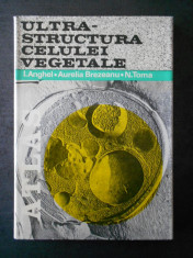 I. ANGHEL - ULTRASTRUCTURA CELULEI VEGETALE foto