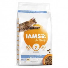 Iams Cat Dental Chicken 2 kg foto