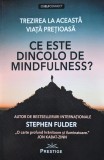 Cumpara ieftin Ce este dincolo de mindfulness? - 2021 - Stephen Fulder (xx280)