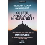 Ce este dincolo de mindfulness? - 2021 - Stephen Fulder (xx280)