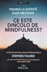 Ce este dincolo de mindfulness? - 2021 - Stephen Fulder (xx280)