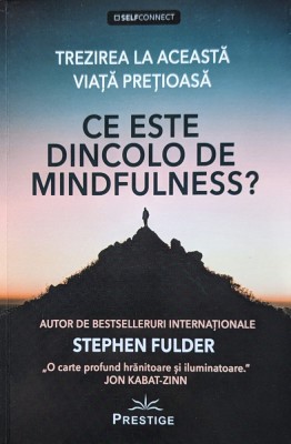 Ce este dincolo de mindfulness? - 2021 - Stephen Fulder (xx280) foto
