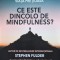 Ce este dincolo de mindfulness? - 2021 - Stephen Fulder (xx280)