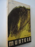 Muntele - Radu Theodoru