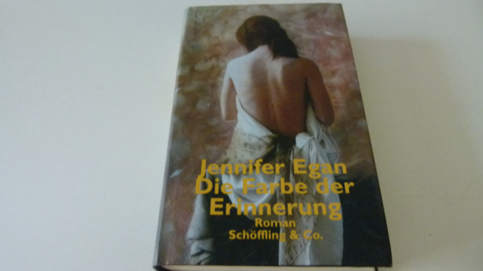 Die Farbe der Errinerung - Jennifer Egan