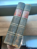 Istoria literaturii germane 1904, doua volume