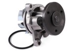 HEPU P251 Pompă de apă, răcire motor