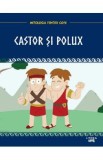 Mitologia. Castor si Polux