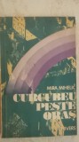 Mira Mihelic - Curcubeu peste oras (vezi detalii pentru livrare in tara), 1981, Univers