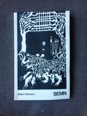 SEMN - MATEI CALINESCU foto