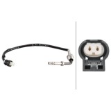 Hella Senzor, temperatura gaze evacuare