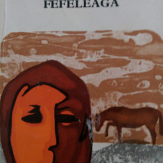 Fefeleaga Ion Agarbiceanu 1971