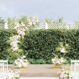 vidaXL Arc de nuntă Auriu 220 x 45 x 200 cm Oțel 42023030