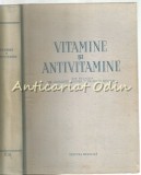 Cumpara ieftin Vitamine Si Antivitamine - Laurentiu Chiosa, Maur Neuman