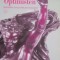 Besiegte Optimisten, Ein Tagebuch