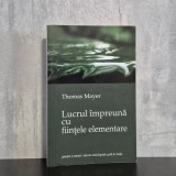 Thomas Mayer - Lucrul &icirc;mpreună cu ființele elementare | ființe elementare, antroposofie, Thomas Mayer