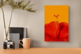 Tablou Canvas, "Frumusețea trandafirului tropical vibrant", Floare, Portocaliu, Stigmat, Petale, Natură, 26 x 39 cm, CMCLASS