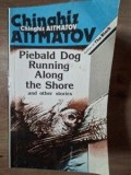 Piebald dog running along the shore and other stories- Chinghiz Aitmatov