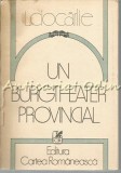 Un Burgtheater Provincial - L. Ciocarlie, Cartea Romaneasca, 1984, Roman, Beletristica, 433 pagini