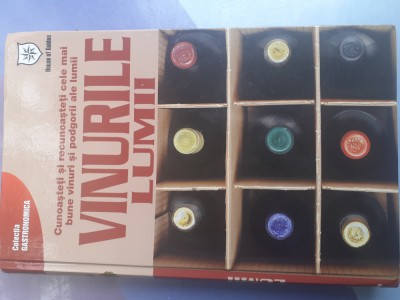 VINURILE LUMII-GIUSEPPE SICHERI-2007 n1. foto