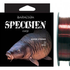 Nylon/fir monofilament Baracuda Specimen 300 m, maro